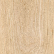 Alder cabinet wood