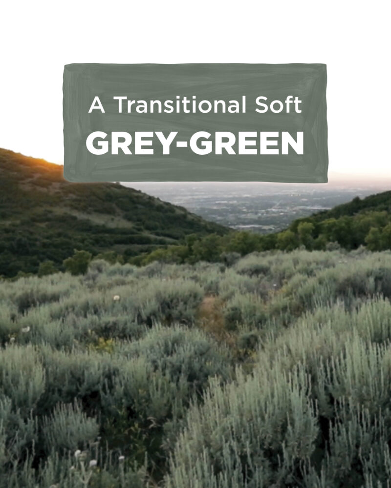 Grey-green is MasterBrand's 2023 color of the year.